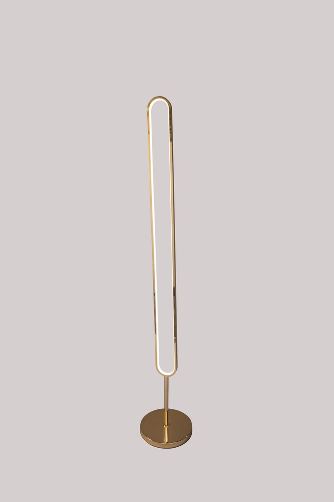 LM-F332-FGD LED Floor Lamp - Modern Lighting