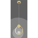 Modern 8+24W LED Pendant Lamp