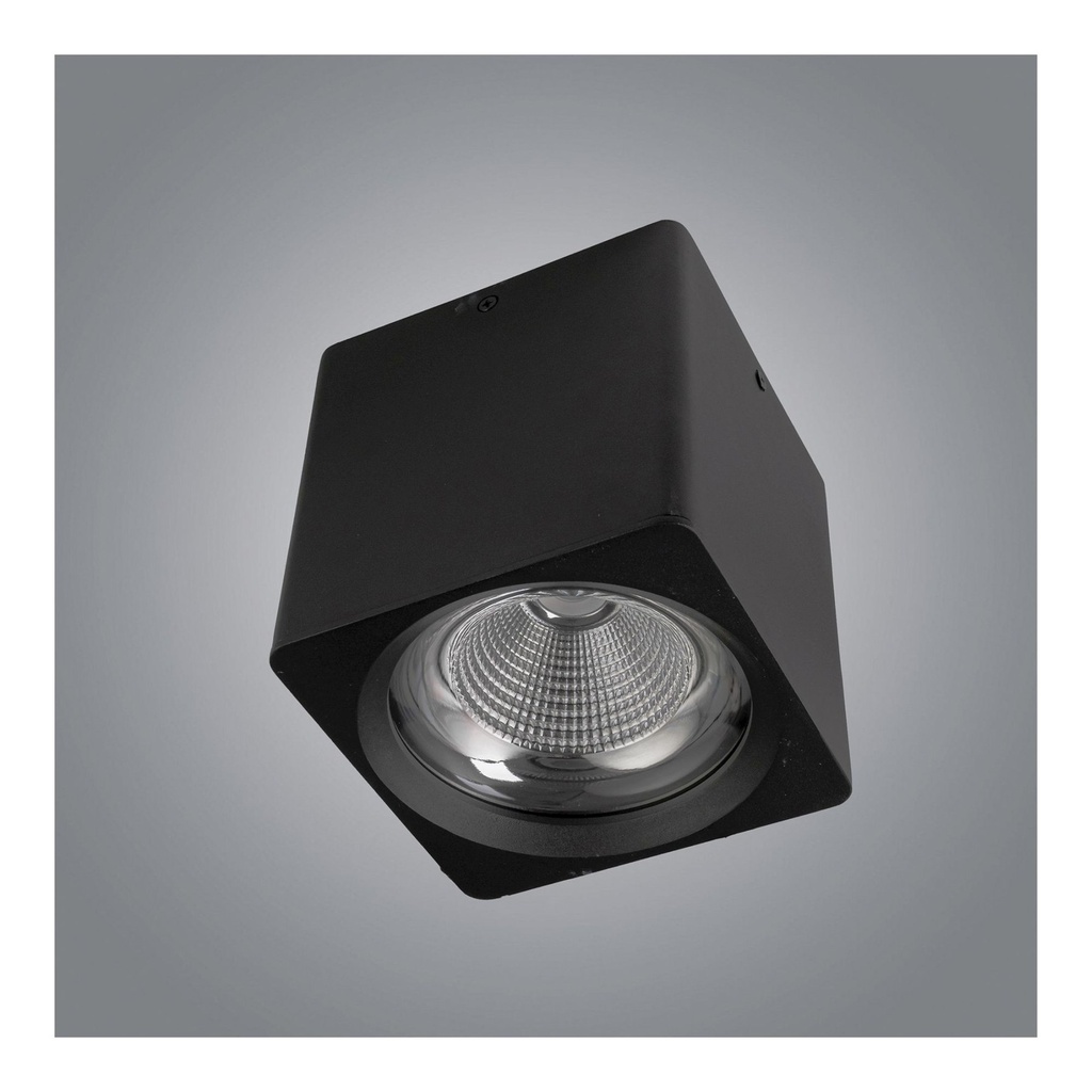 10W Cylinder Ceiling Spotlight