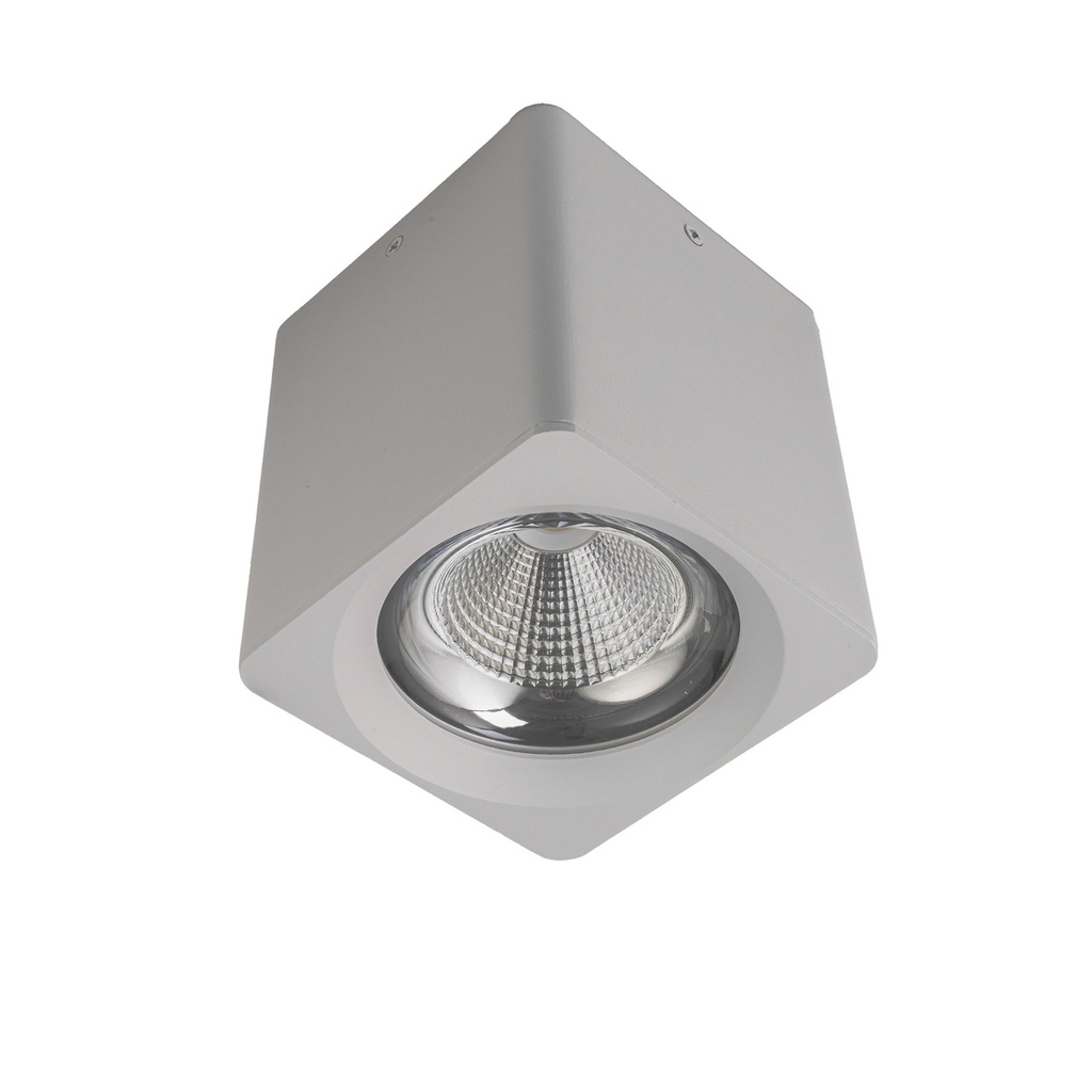 20W Cylinder Ceiling Spotlight