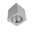 20W Cylinder Ceiling Spotlight
