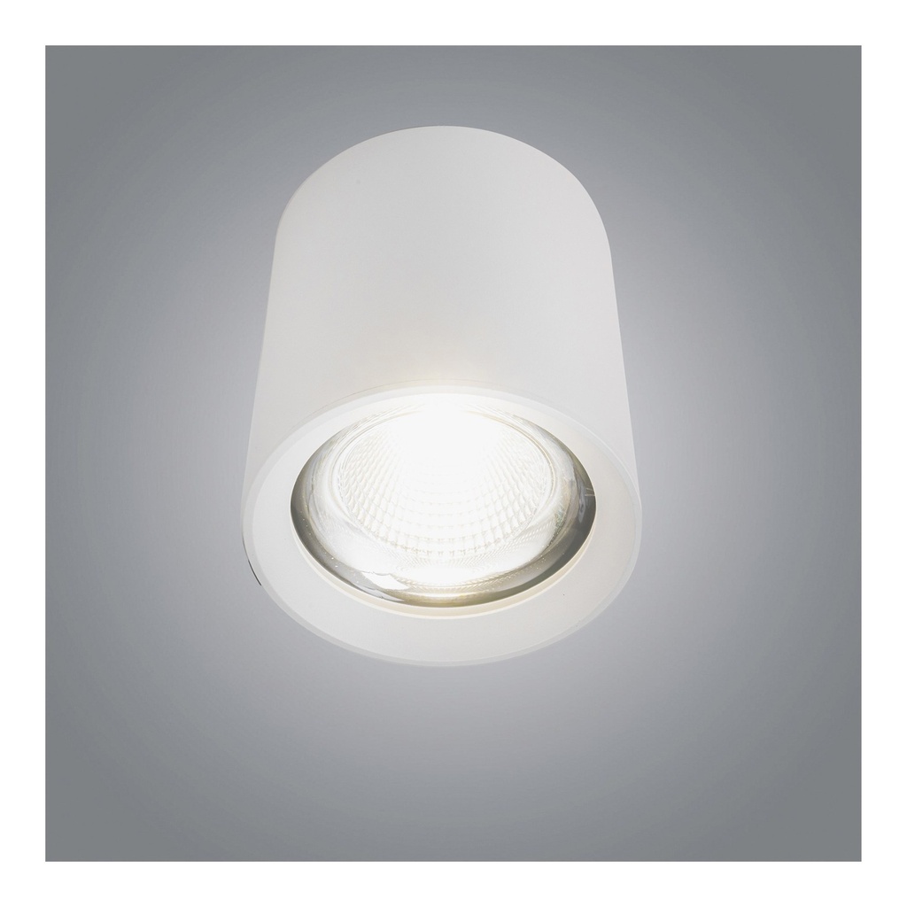 25W Cylinder Ceiling Spotlight