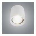 25W Cylinder Ceiling Spotlight