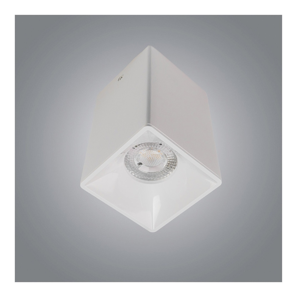 7W Cylinder Ceiling Spotlight