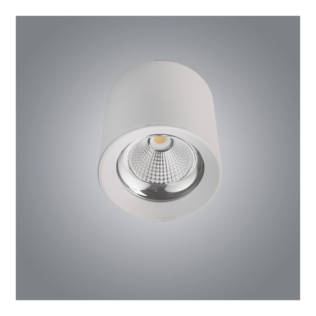 10W Cylinder Ceiling Spotlight Available in Round and Box Shape - Black / White