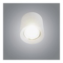 10W Cylinder Ceiling Spotlight Available in Round and Box Shape - Black / White