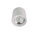 18W Cylinder Ceiling Spotlight Available in Black or White