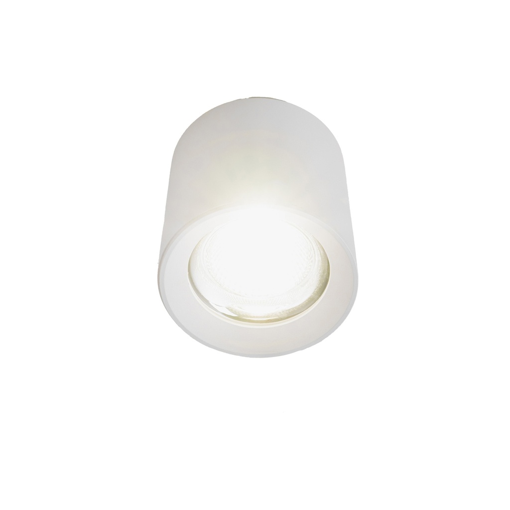 18W Cylinder Ceiling Spotlight Available in Black or White