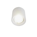 18W Cylinder Ceiling Spotlight Available in Black or White