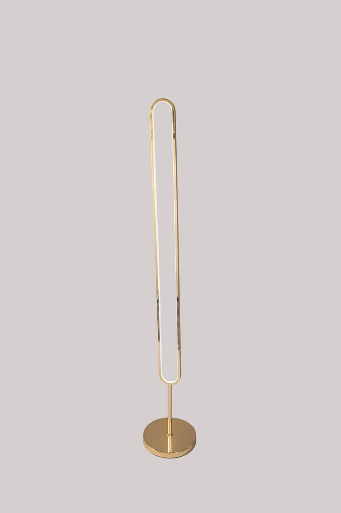 LM-F332-FGD LED Floor Lamp - Modern Lighting