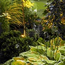 5W Outdoor Landscape Spike Light - Compact and Durable - Black
