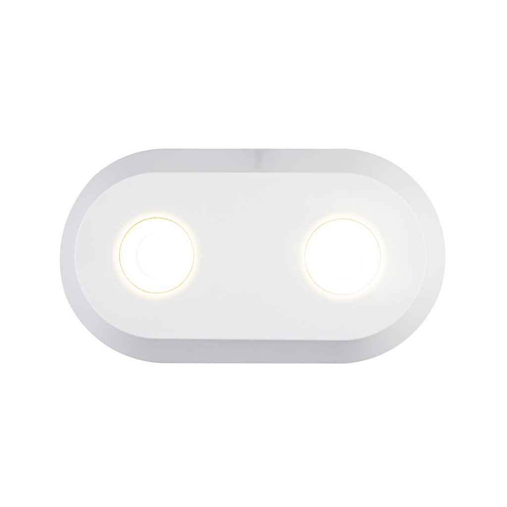 Dual Plate Light, KMU002 (White or Silver Body, White Light, 18W)