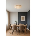 LM-1774-50-(48*48)S-Ceiling Elegant LED Ceiling Lamp