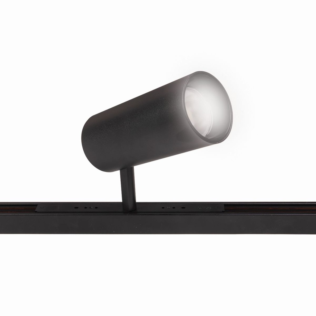 20W Bluetooth Magnetic Track Spotlight (3 Color Temperatures)