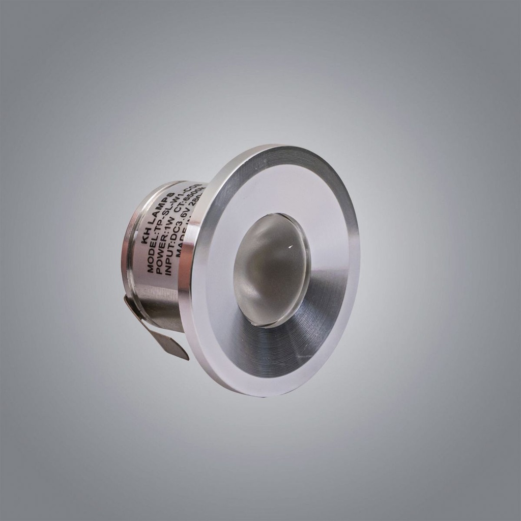 1W White COB LED Spot Light