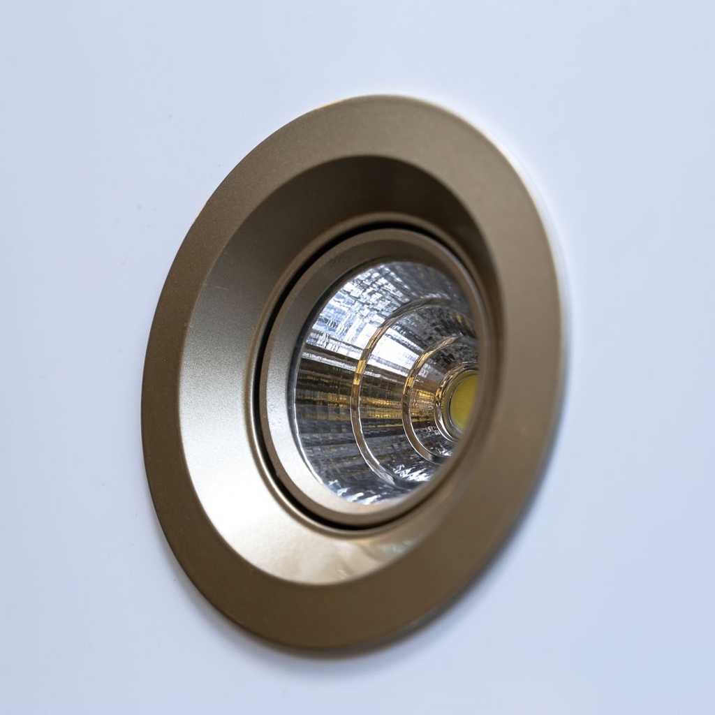 Champagne 5W LED Spot Light