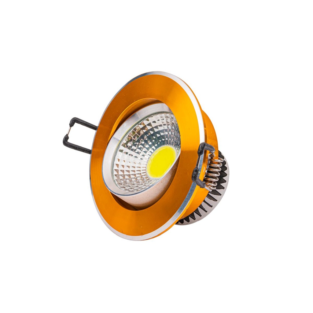 5W Adjustable Spot Light with Silver and Gold Finish