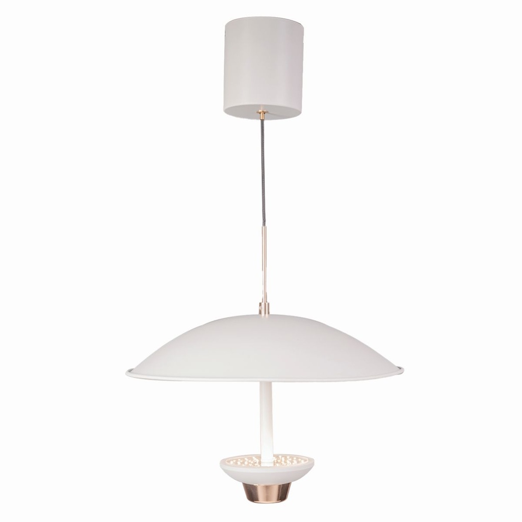 LED Pendant Lamp LM-P9207-350