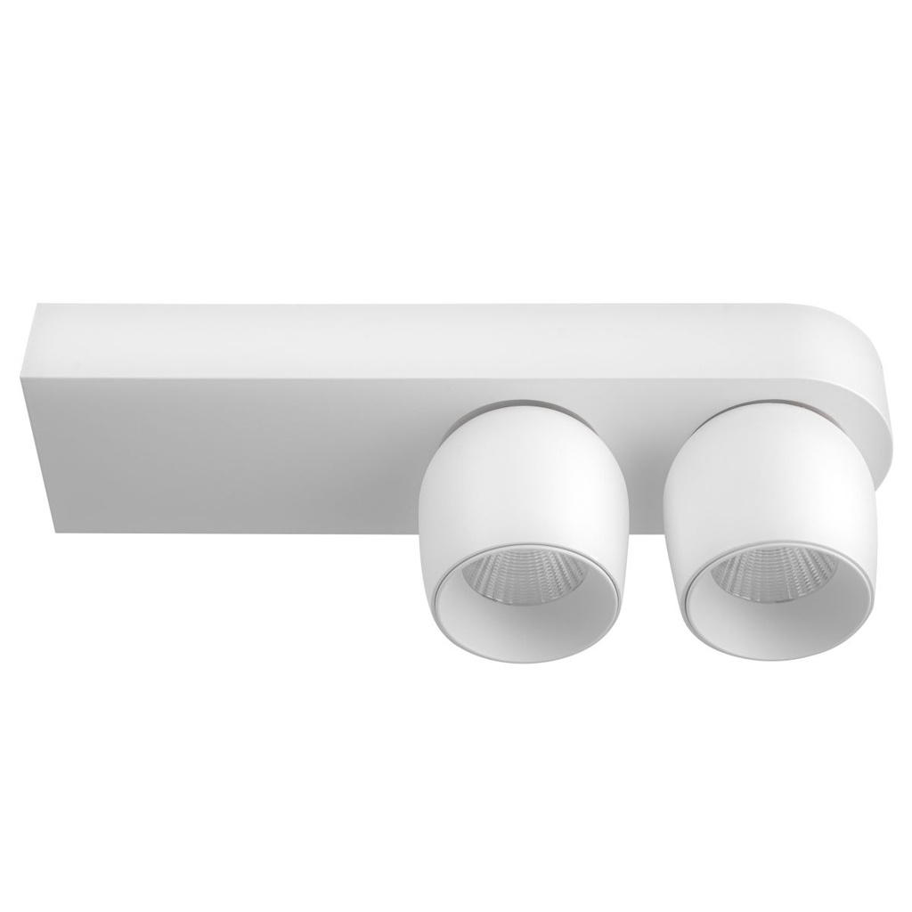 Surface Mount Double Spotlight - Adjustable Head