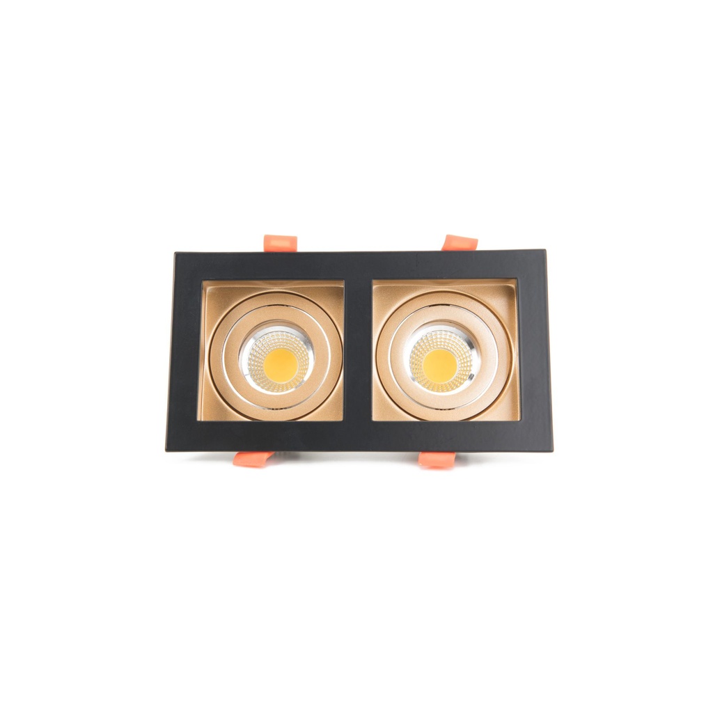 Black & Gold Double Spotlight - LM-B05-2MR16-2-OUT - 44W Recessed Lighting