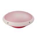 Outdoor Wall Light, 41/8, Red Finish